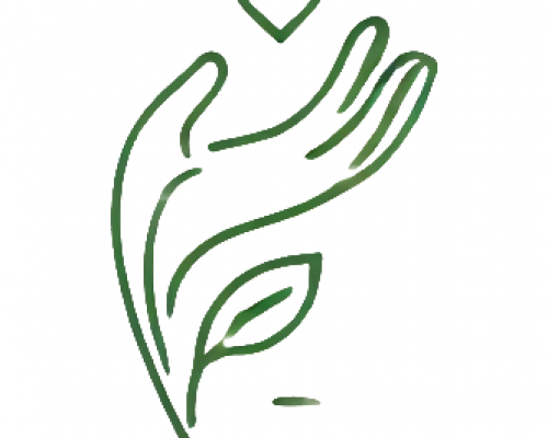 Nouveau site internet